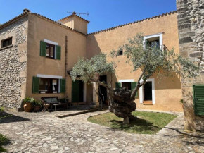 Villa Pollensa private Pool